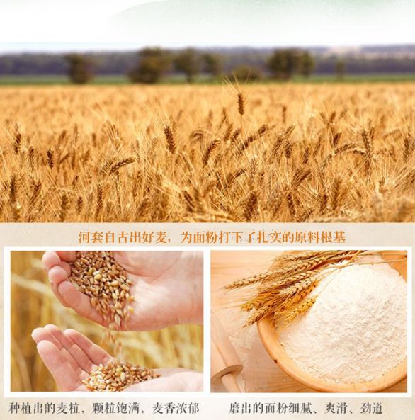 河套小麦知识,河套小麦为啥好