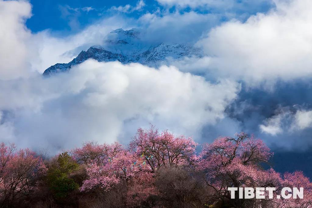 原来你是这样“富有”的*藏西**