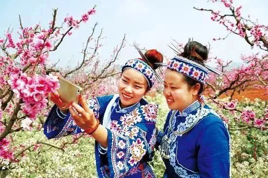 贵阳适合春季游玩赏花的好去处,贵阳春天最美的地方在哪里