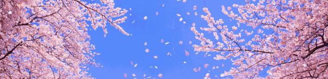 儿子玩水晶泥视频,因为玩水晶泥造成的危害