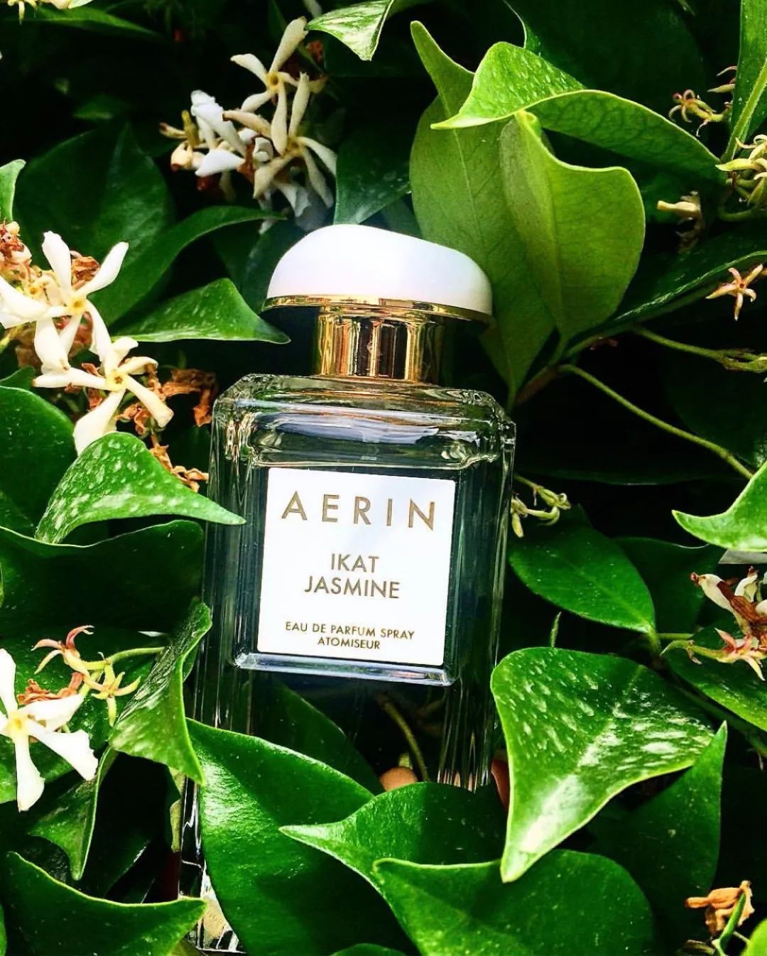 推荐一款适合夏天的大牌香水,适合女生春天使用的香水小众平价