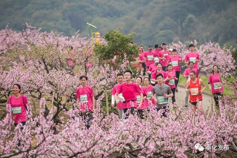 一字千金,一字千金全部视频