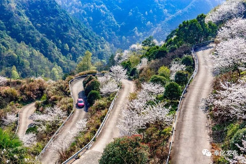 一字千金,一字千金全部视频