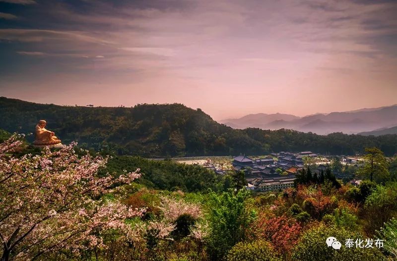 一字千金,一字千金全部视频