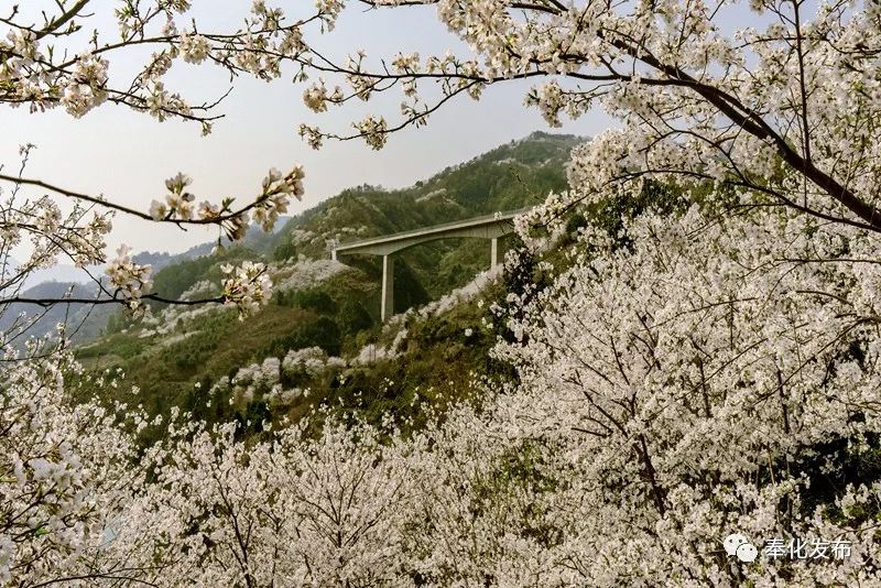 一字千金,一字千金全部视频