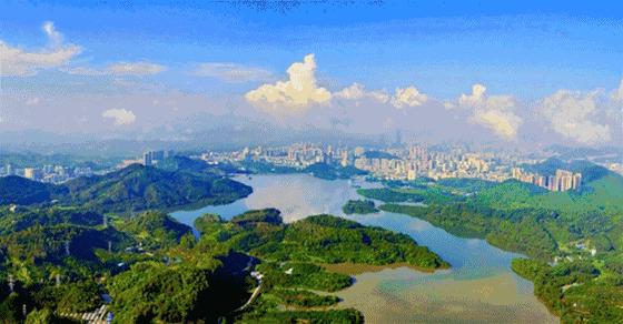 一名记者的感悟,一名记者眼中的春节