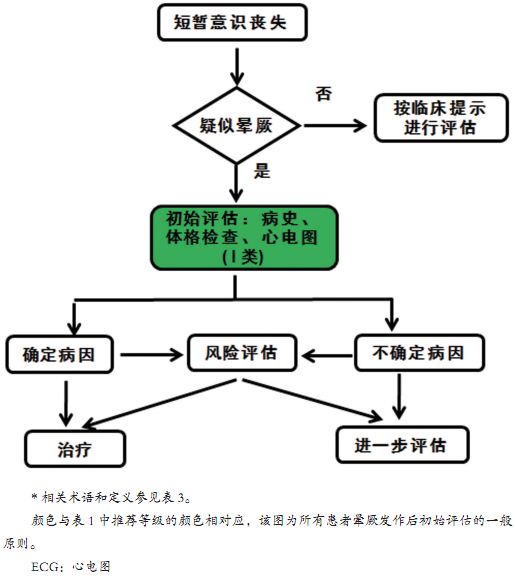 棘手的晕厥诊治,这份来自哈佛的简洁手册堪称典范!|专家视角