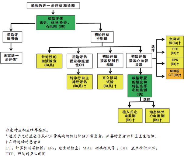 棘手的晕厥诊治,这份来自哈佛的简洁手册堪称典范!|专家视角