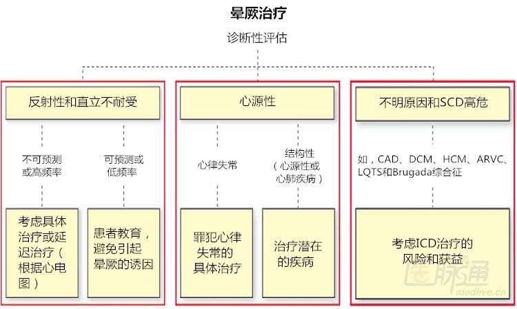 棘手的晕厥诊治,这份来自哈佛的简洁手册堪称典范!|专家视角
