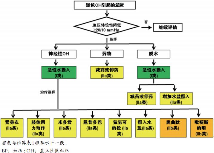棘手的晕厥诊治,这份来自哈佛的简洁手册堪称典范!|专家视角