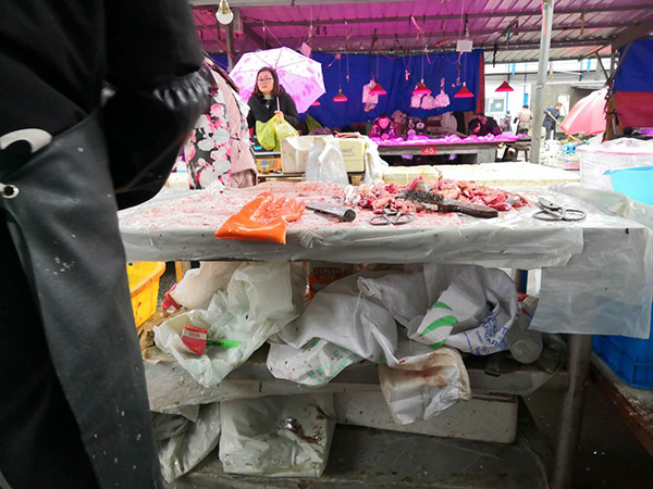 致命“直播”:一场“网红”梦的陨灭