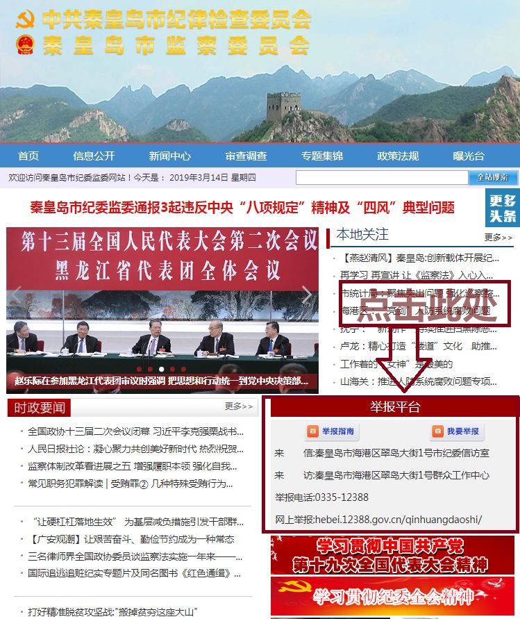 网络举报平台举报后查询不到结果,网络举报平台官方网站