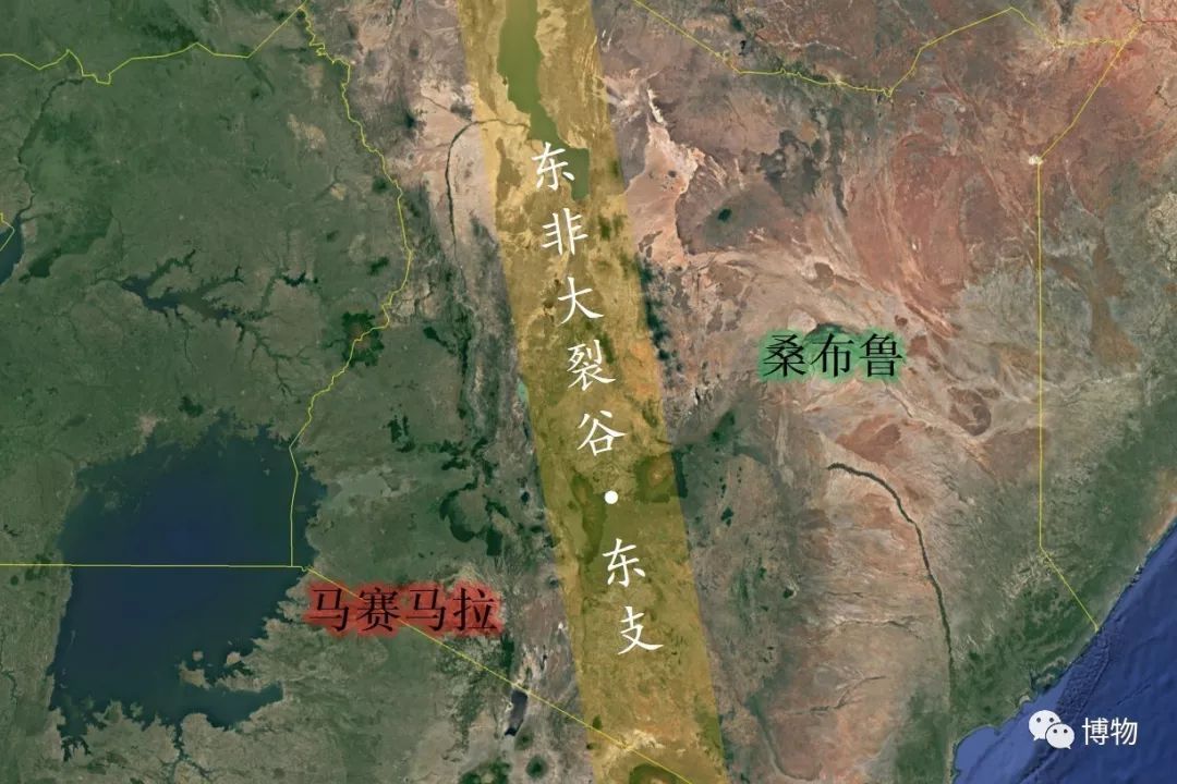 肯尼亚博物学之旅,博物肯尼亚