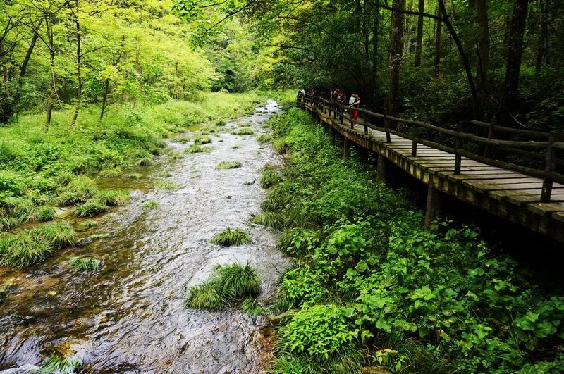 沈阳到张家界旅游专列价格,旅游专列沈阳出发5月14日价格