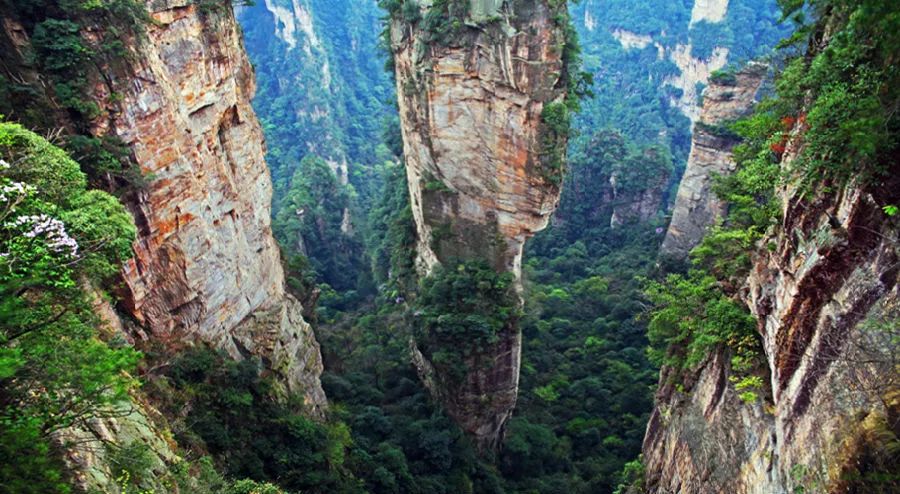 沈阳到张家界旅游专列价格,旅游专列沈阳出发5月14日价格