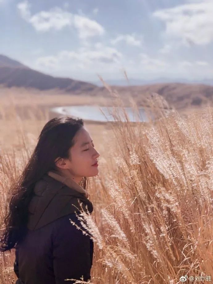 刘亦菲宋茜lv,刘亦菲宋茜哪个是lv全球代言人