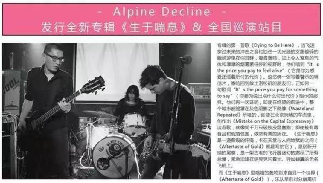 他们探索并推广关于黑胶的一切，想把自己的爱好变成别人的日常|了不起的小工作室