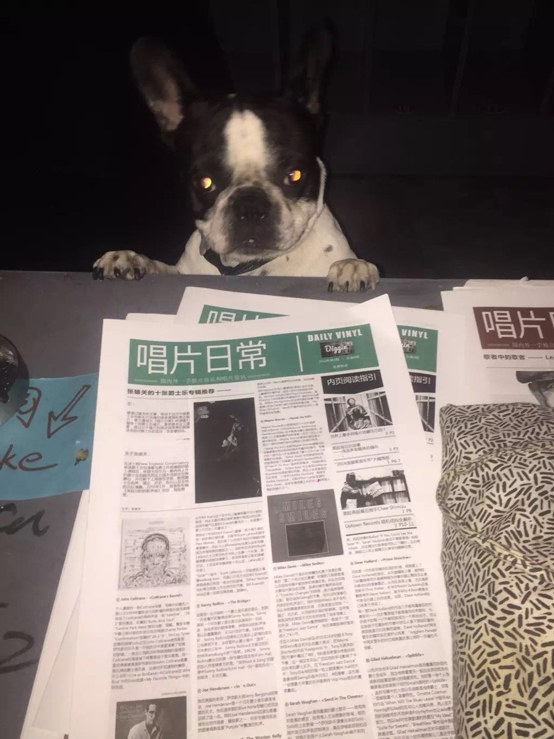 他们探索并推广关于黑胶的一切，想把自己的爱好变成别人的日常|了不起的小工作室