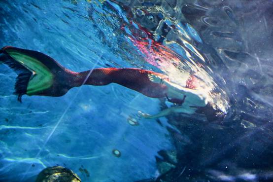 妖精的口袋怎么玩,妖精的口袋商业模式