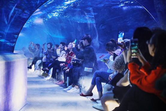 妖精的口袋怎么玩,妖精的口袋商业模式