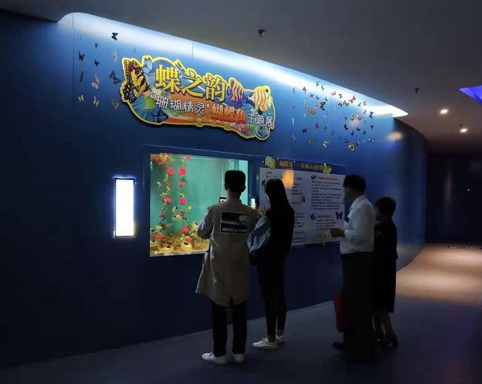 山东聊城旅游景点海底世界,聊城海底世界景区介绍