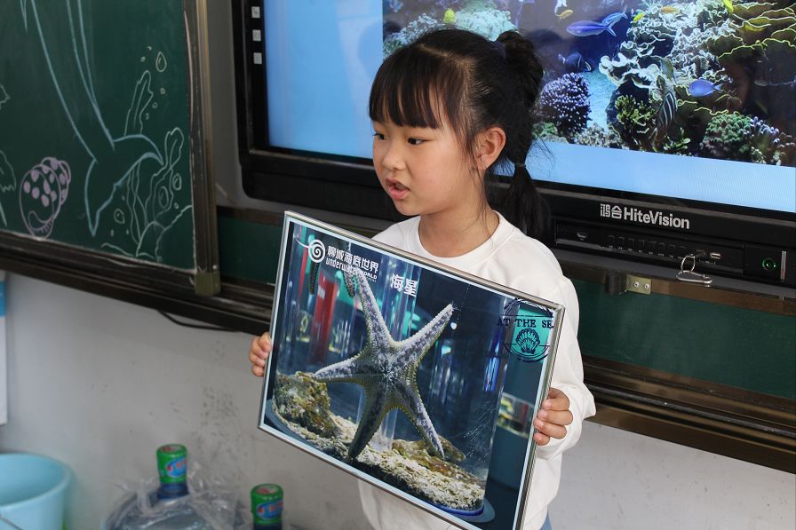 山东聊城旅游景点海底世界,聊城海底世界景区介绍