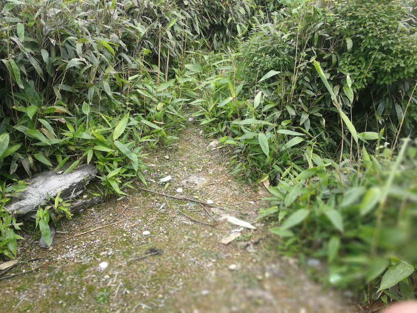 搁船尖登顶难度,搁船尖天目山光明顶