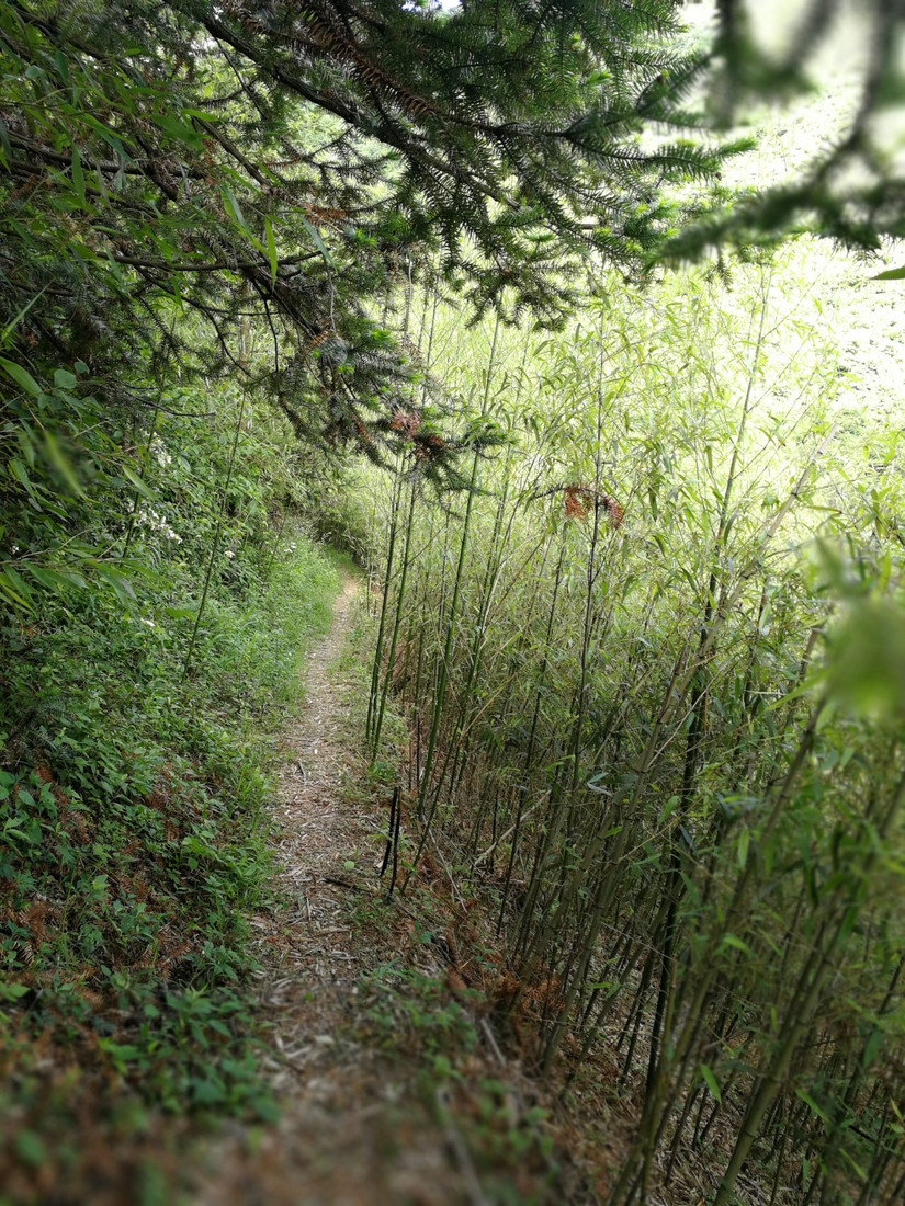 搁船尖登顶难度,搁船尖天目山光明顶