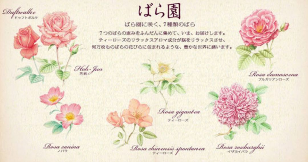 日本妹子又白又嫩又水灵，都靠这款身体乳！也是混血超模长谷川润的最爱...