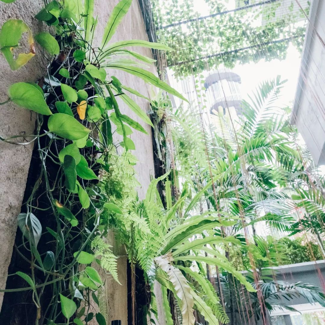 走进新加坡领略别样狮城,新加坡狮城攻略