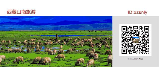 杨不悔和杨过的结局,杨不悔的结局