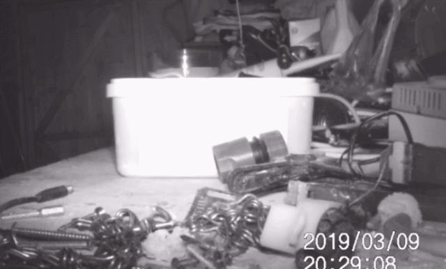 桌面每晚都被神秘力量整理干净,装了监控才发现居然是老鼠在收拾?!