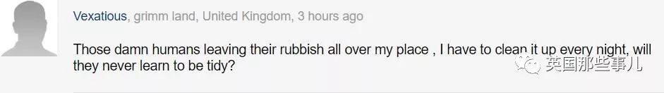 桌面每晚都被神秘力量整理干净,装了监控才发现居然是老鼠在收拾?!