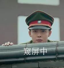 这是我见过节奏最快的恋爱......