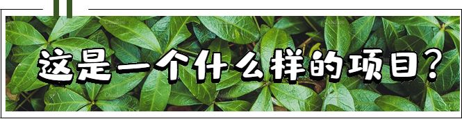 联想集团真实状况,联想在延庆