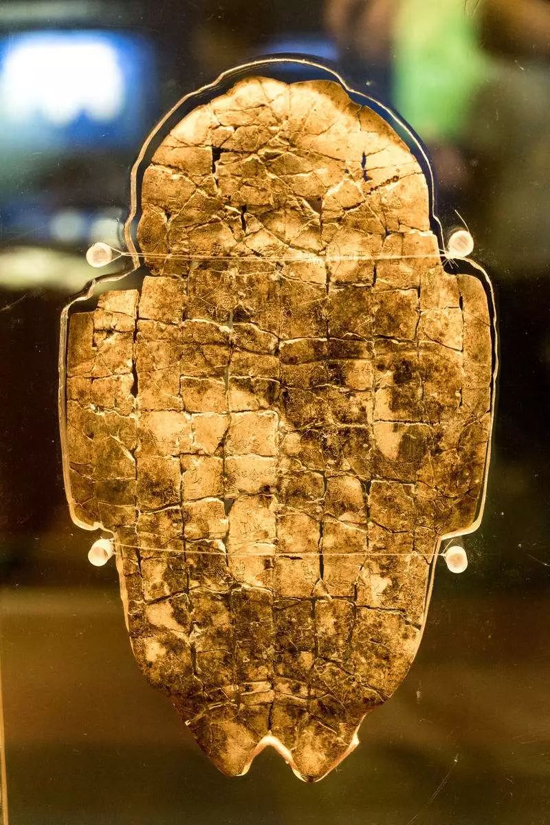 斗图吗？我有龙的传人标配表情包！