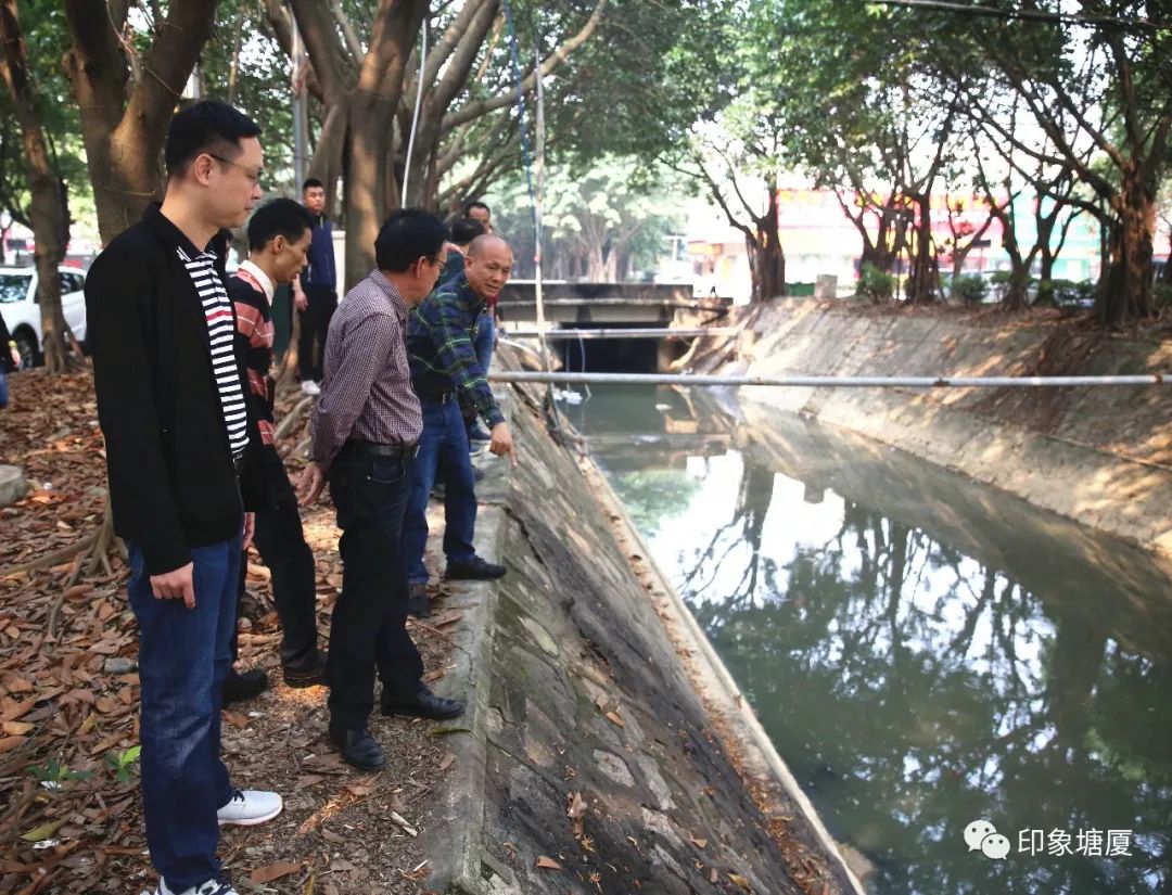 塘厦镇林村社区书记,塘厦叶浩昌书记