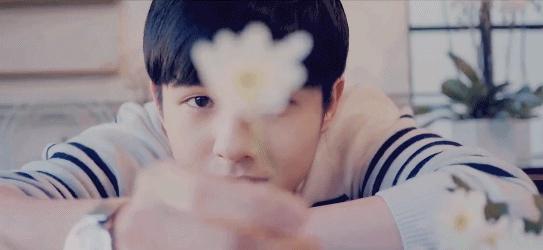 刘亦菲肖战吴磊刘昊然,刘亦菲吴磊刘昊然