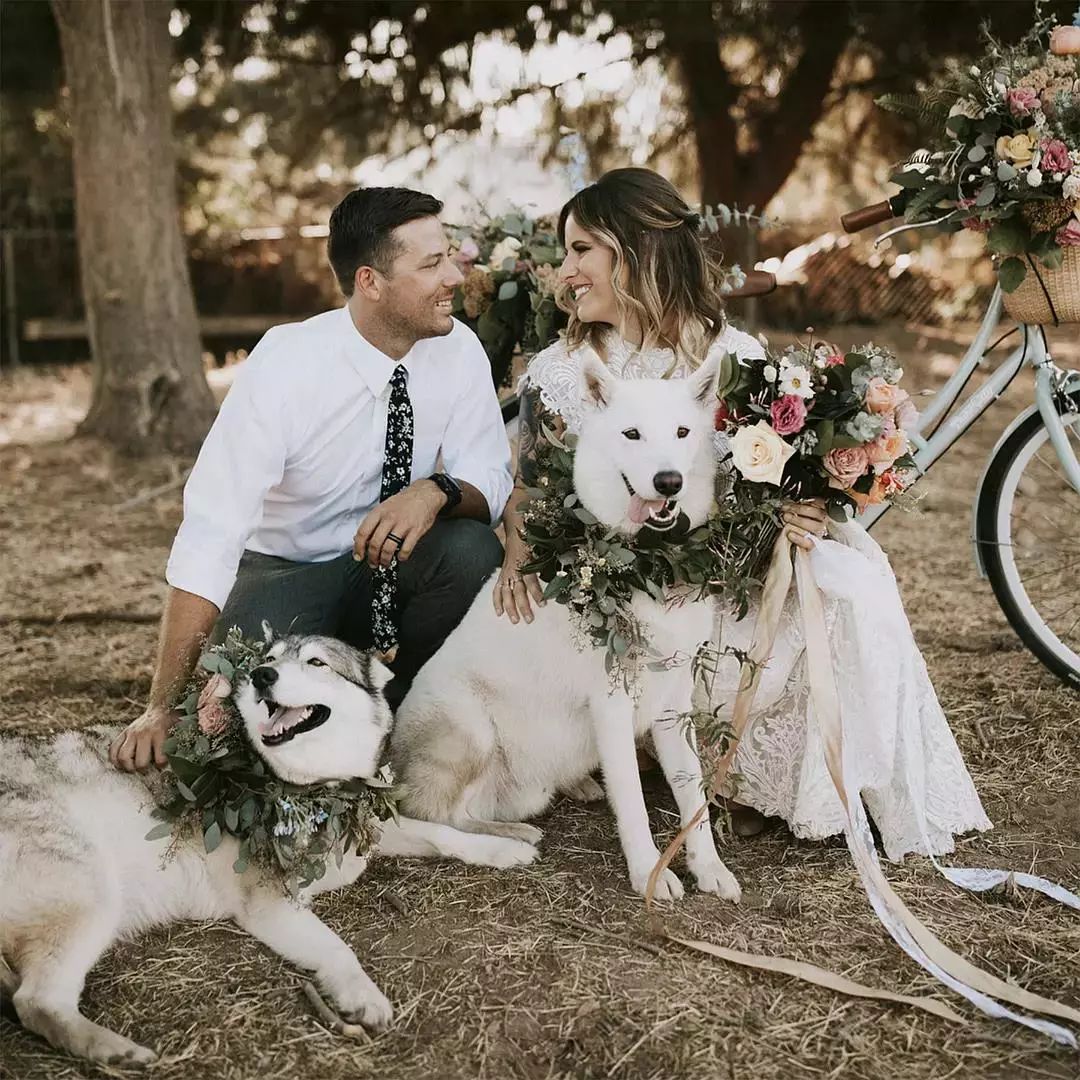 简单好看的婚纱画法,婚纱照风格搭配推荐