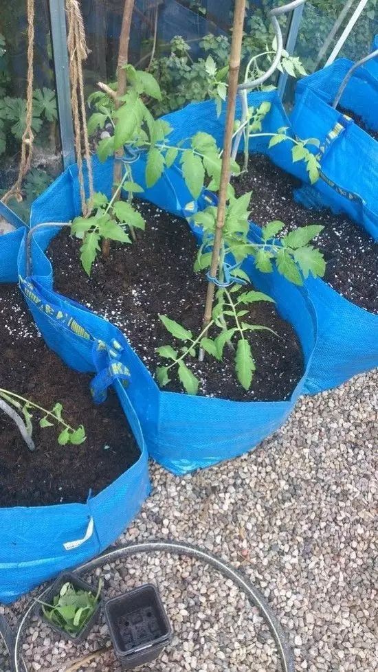 几块钱的袋子实用,几块钱的东西变成了几百元