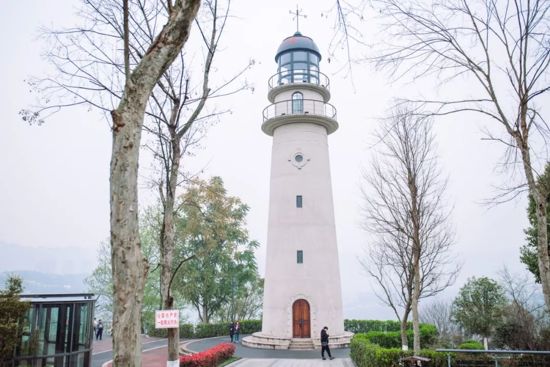 重庆最新旅游大全,重庆全集免费观看