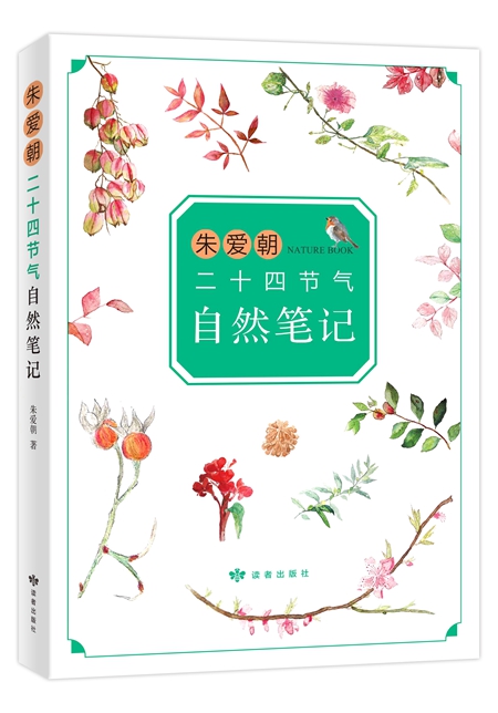 毕加索童书,把毕加索美术馆带回家