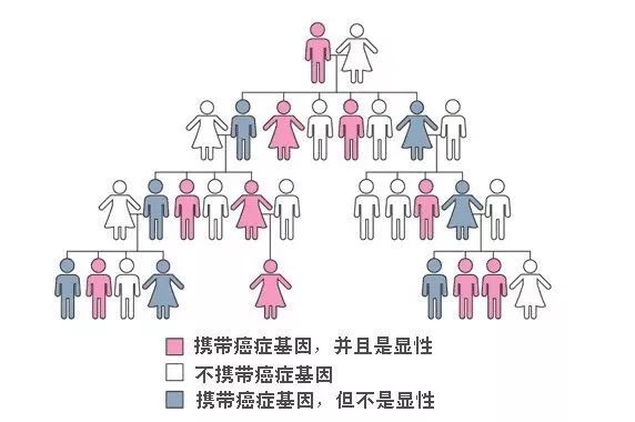 结婚这件事漫画,结婚这件小事漫画最新话