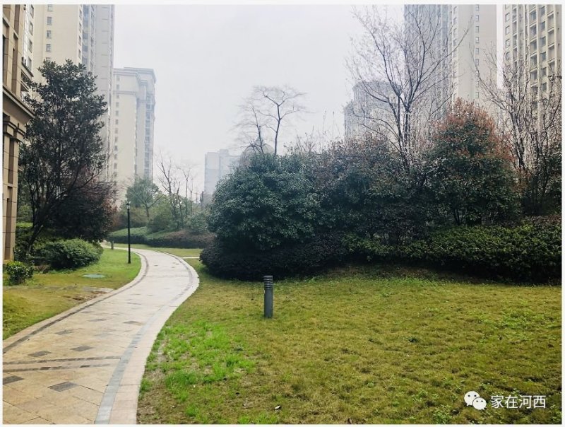 滨江8字头，准现房阳光丽城已经开始登记了！