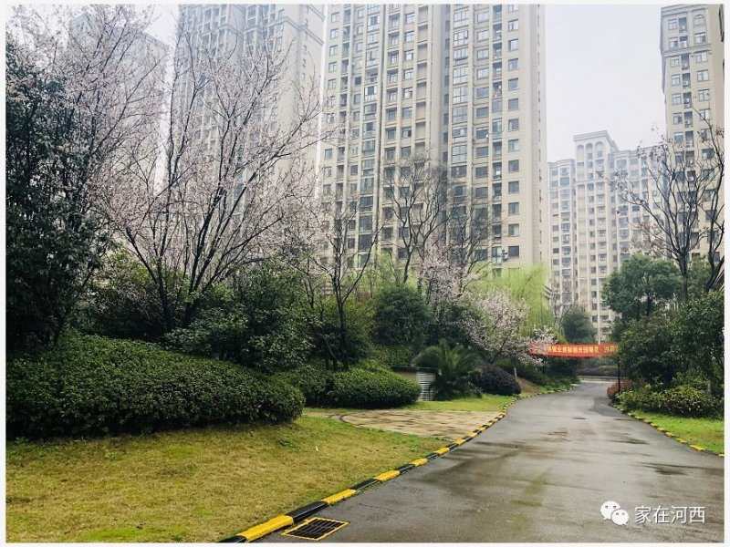 滨江8字头，准现房阳光丽城已经开始登记了！