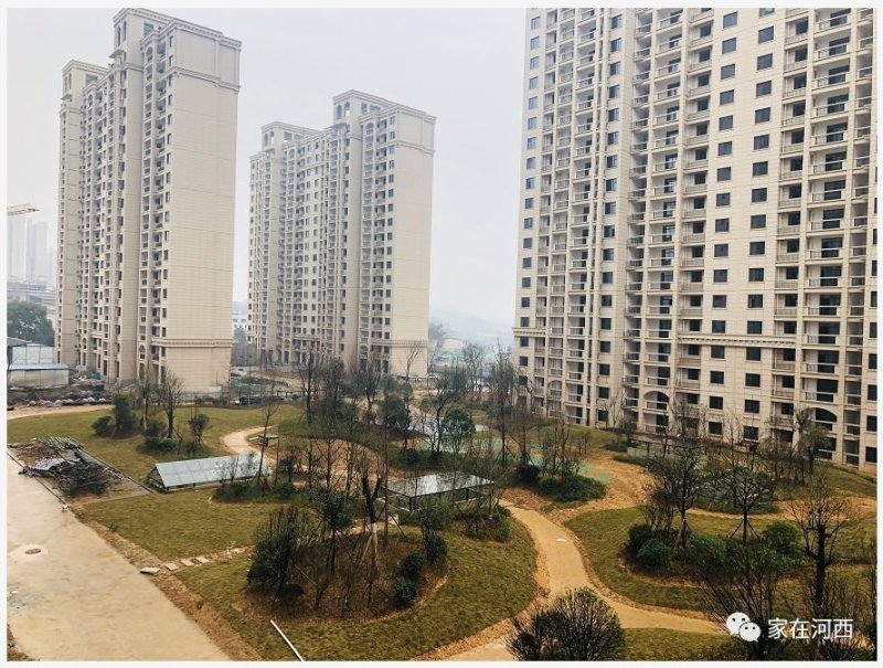 滨江8字头，准现房阳光丽城已经开始登记了！