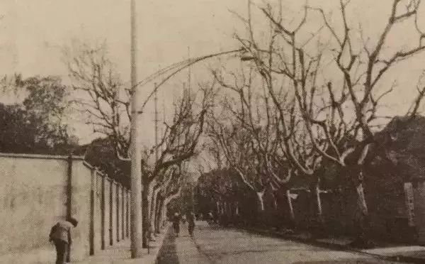 去处｜转眼间，上海这个区已经离开我们8年了……