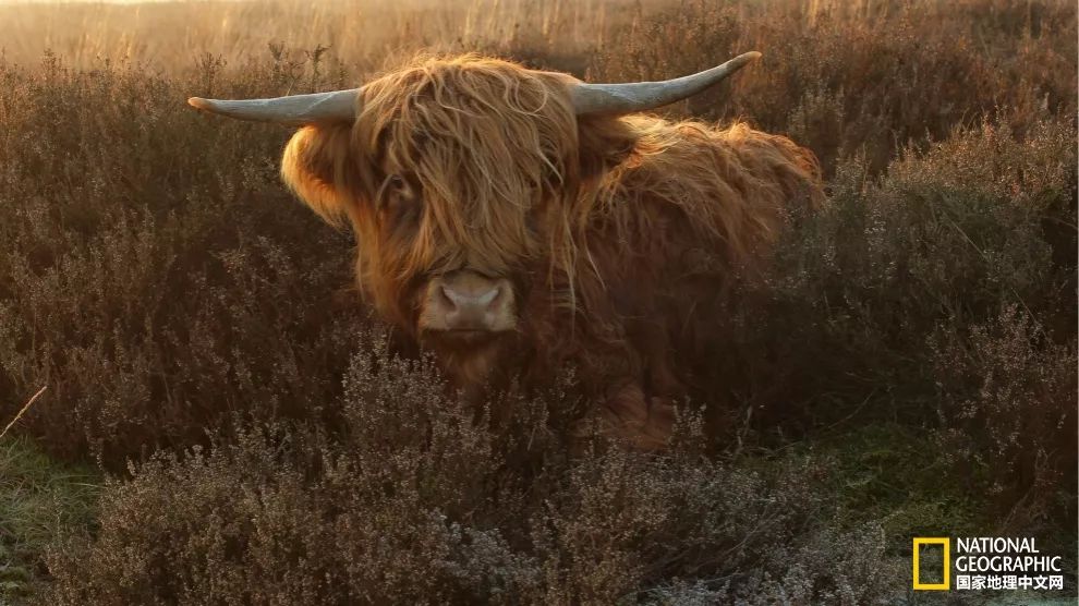 春风满眼尽是春色,纵目天涯浅黛春山的意思是什么