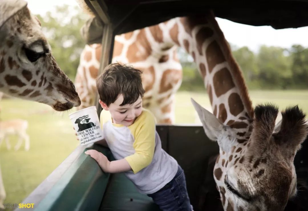春风满眼尽是春色,纵目天涯浅黛春山的意思是什么