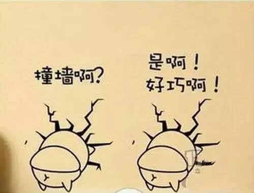 撞头、吃蝌蚪、把果汁注入静脉,奇葩养生总有人信?